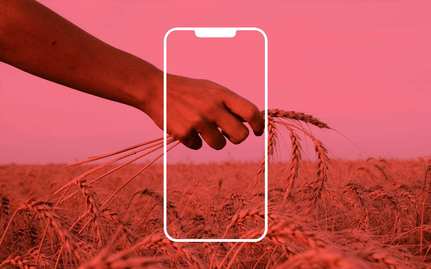 Agritech Consultancy in India | Redseer Strategy Consulting
